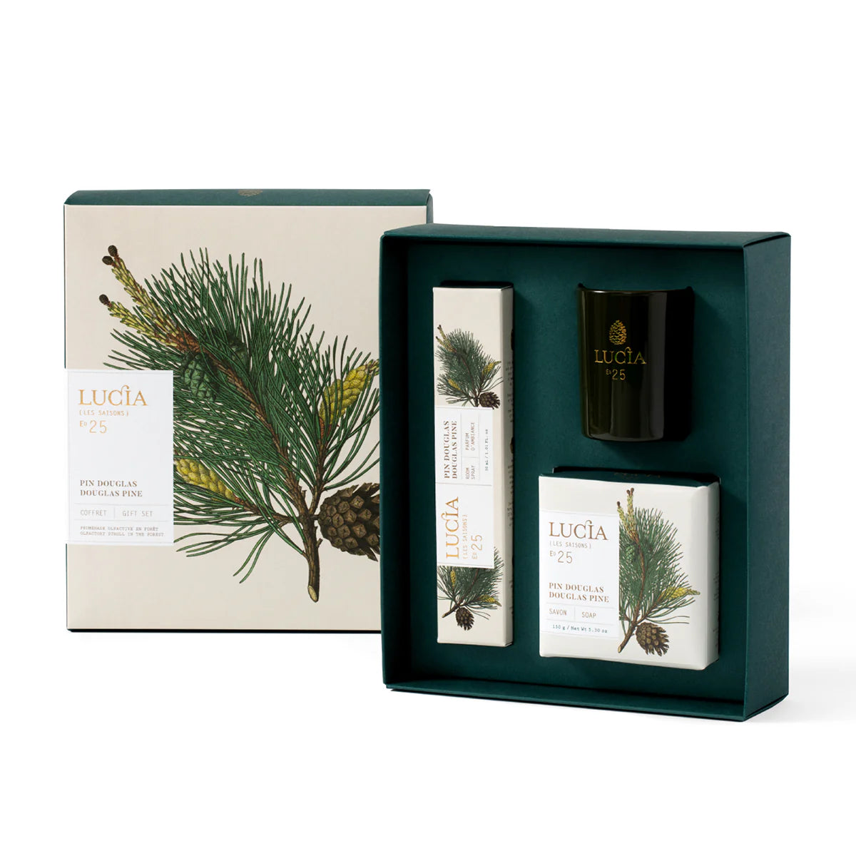 Lucia - Pine Douglas Gift Box