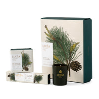 Lucia - Pine Douglas Gift Box