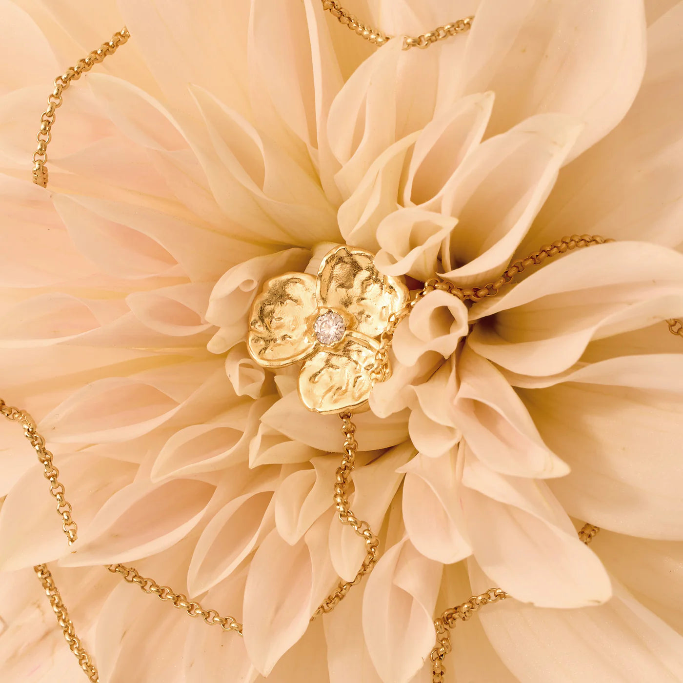 Agapée - Narci Necklace