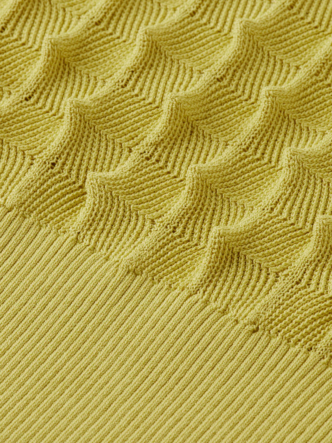 Scotch & Soda - Textured Stitch Pullover in Golden Green
