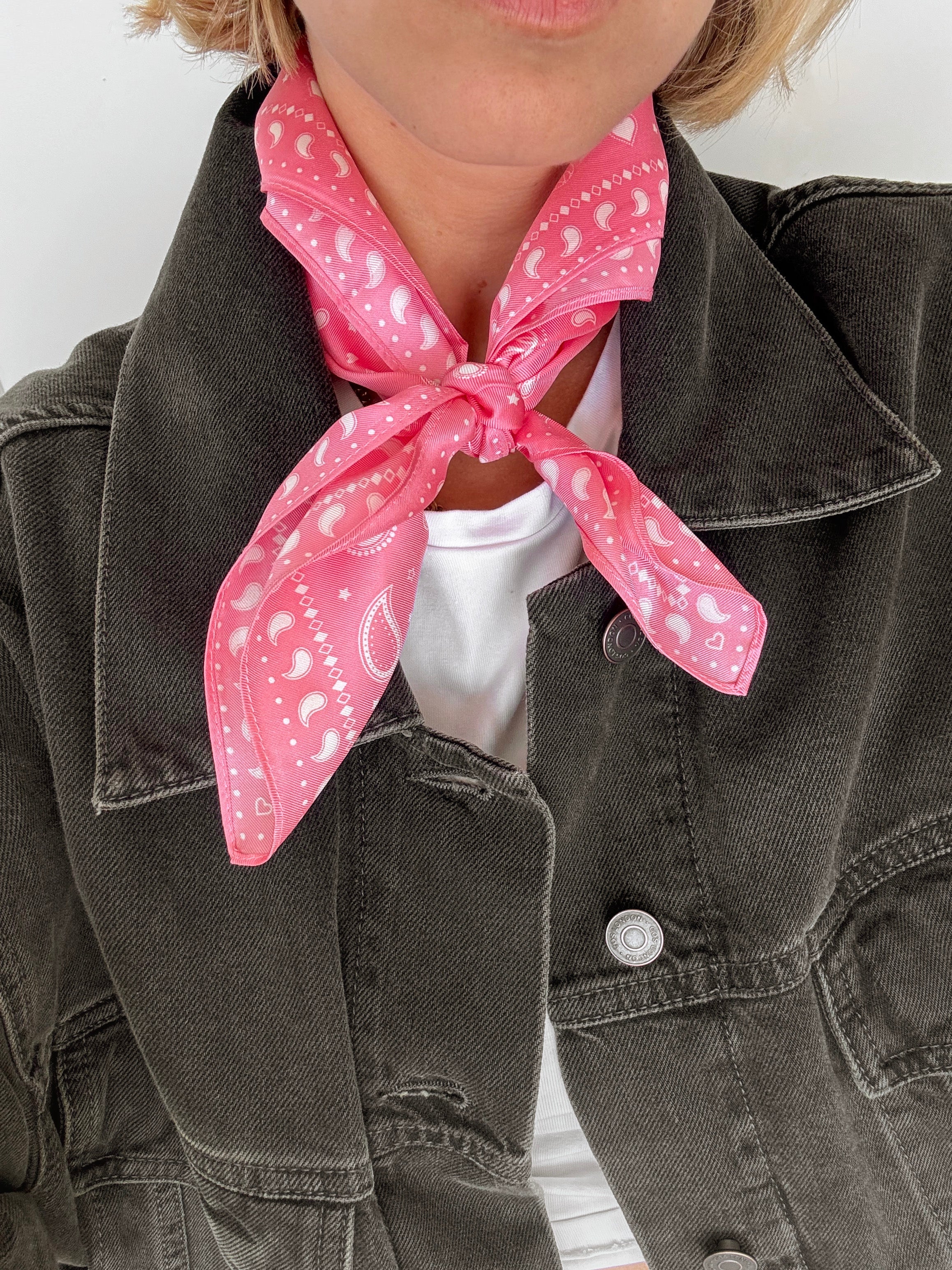 lescarf - Paisley Scarf in Pink