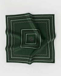 lescarf - Paisley Scarf in Green