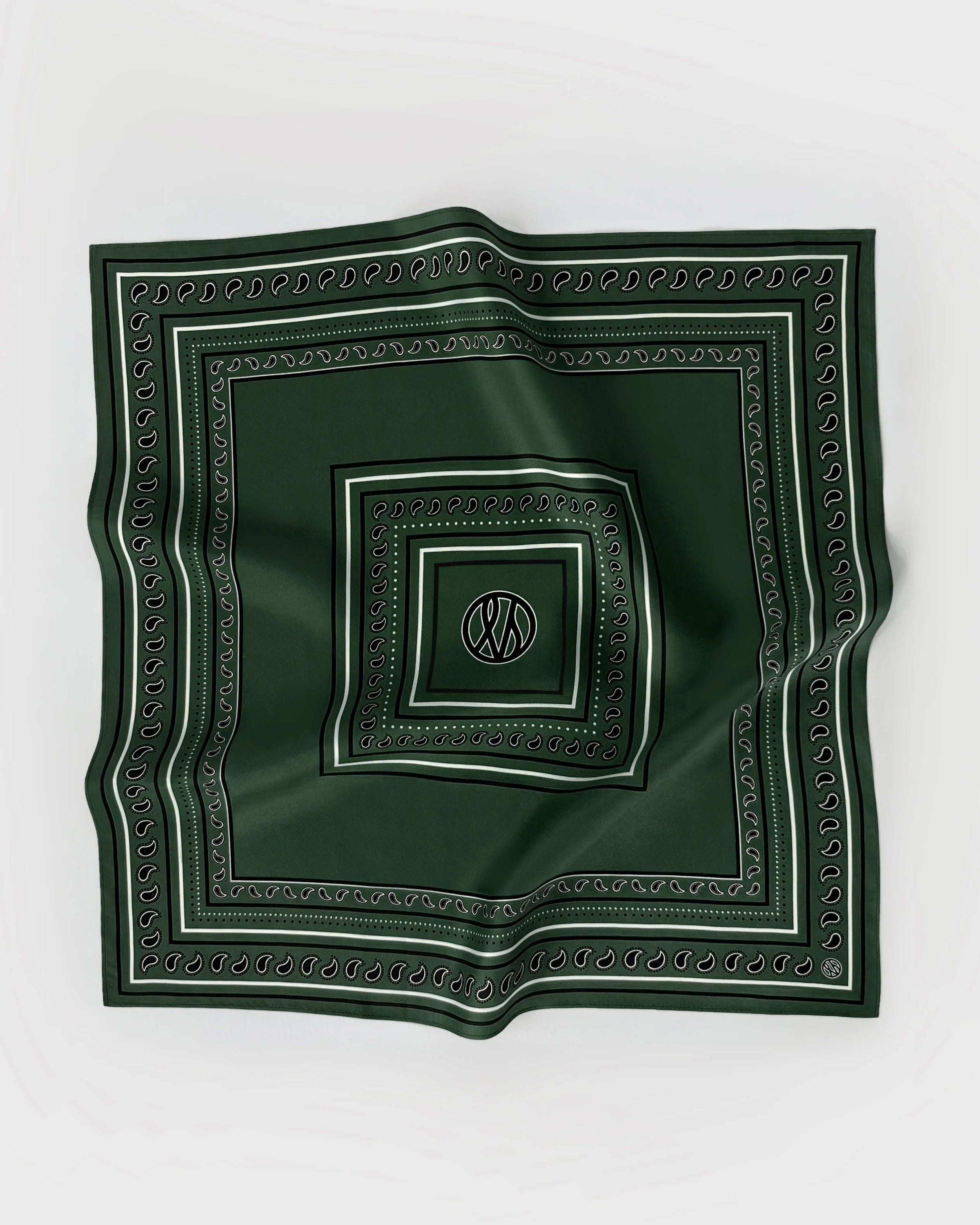 lescarf - Paisley Scarf in Green