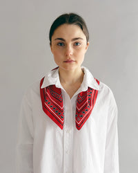 lescarf - Paisley Scarf in Red