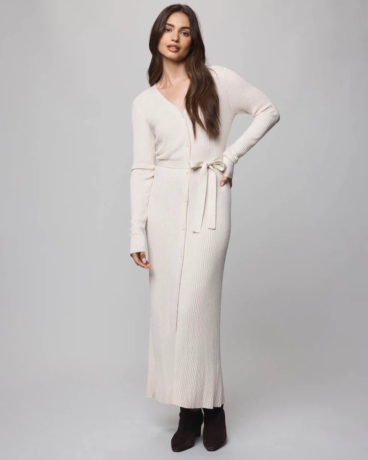 Splendid - Georgie Button Down Dress in Pale Oak Heather