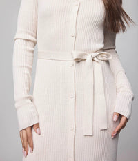 Splendid - Georgie Button Down Dress in Pale Oak Heather