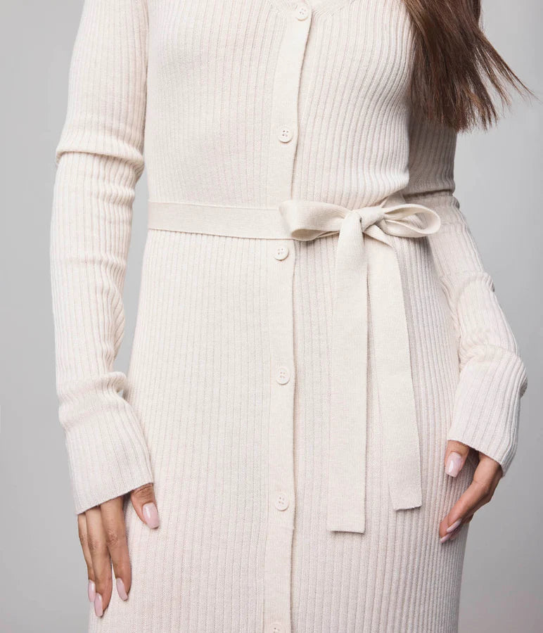 Splendid - Georgie Button Down Dress in Pale Oak Heather