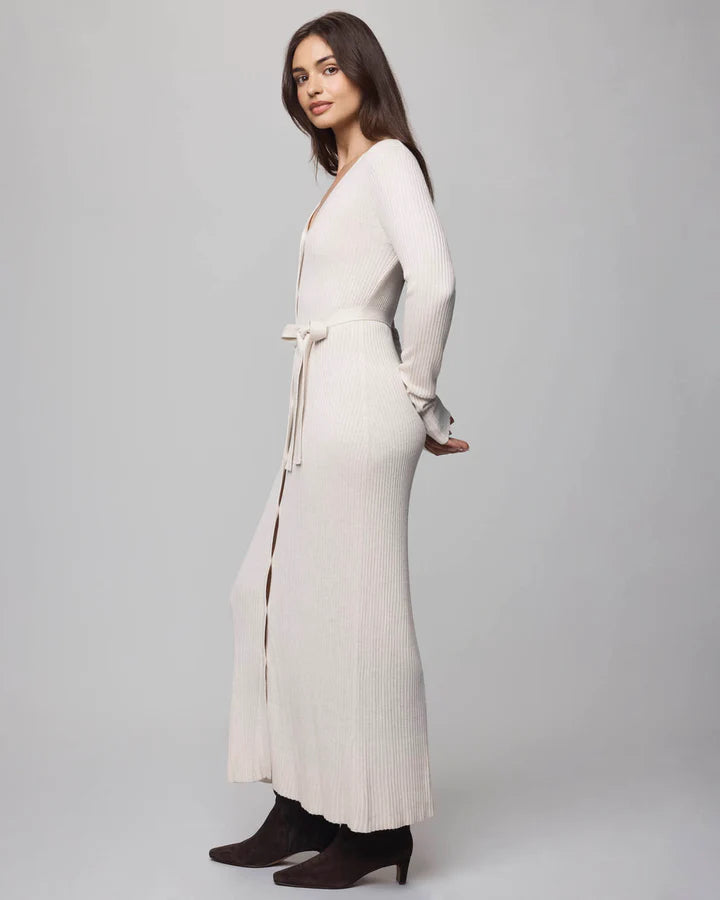 Splendid - Georgie Button Down Dress in Pale Oak Heather