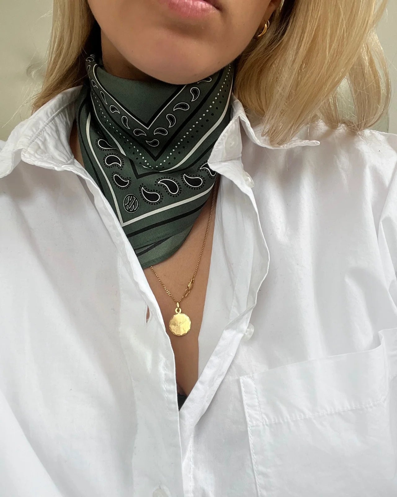 lescarf - Paisley Scarf in Green