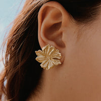 Agapée - Adonis Earrings