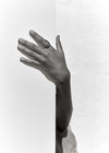 Pascale Monvoisin - Bowie No.3 in White Diamond
